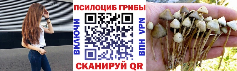 Галлюциногенные грибы ЛСД  Шатура 